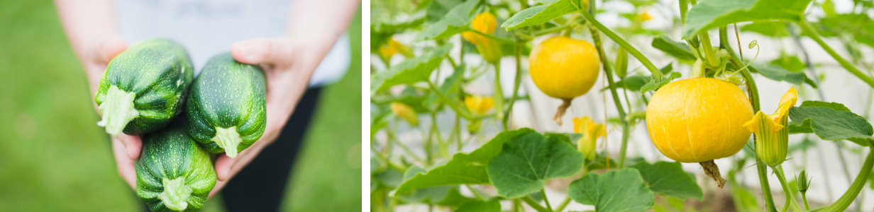 һ���� - �������ĵ羺ƽ̨