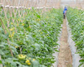 һ���� - �������ĵ羺ƽ̨