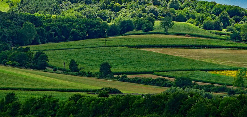 �ִ�ũҵ��ҵ