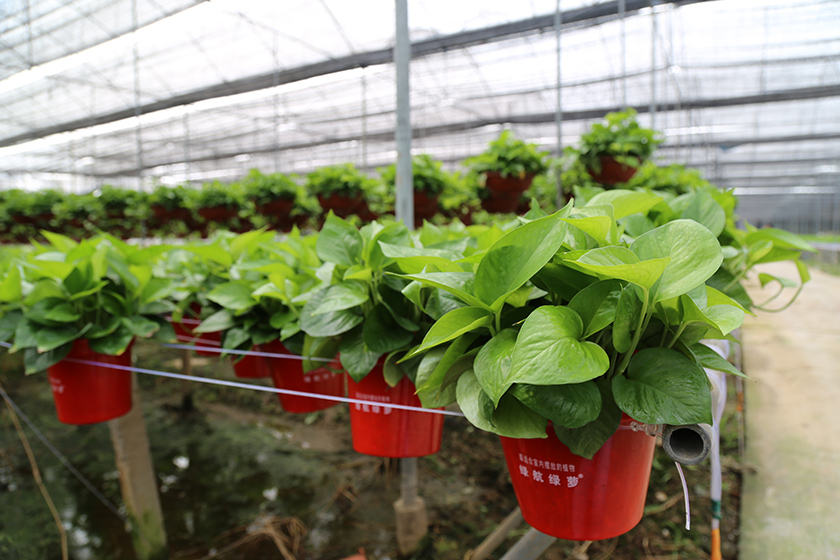 һ���� - �������ĵ羺ƽ̨